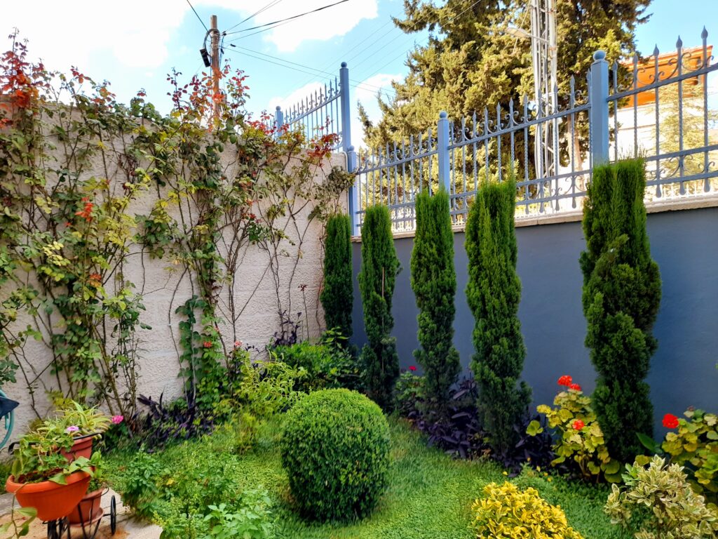 xeriscape front yard with drought-tolerant plants