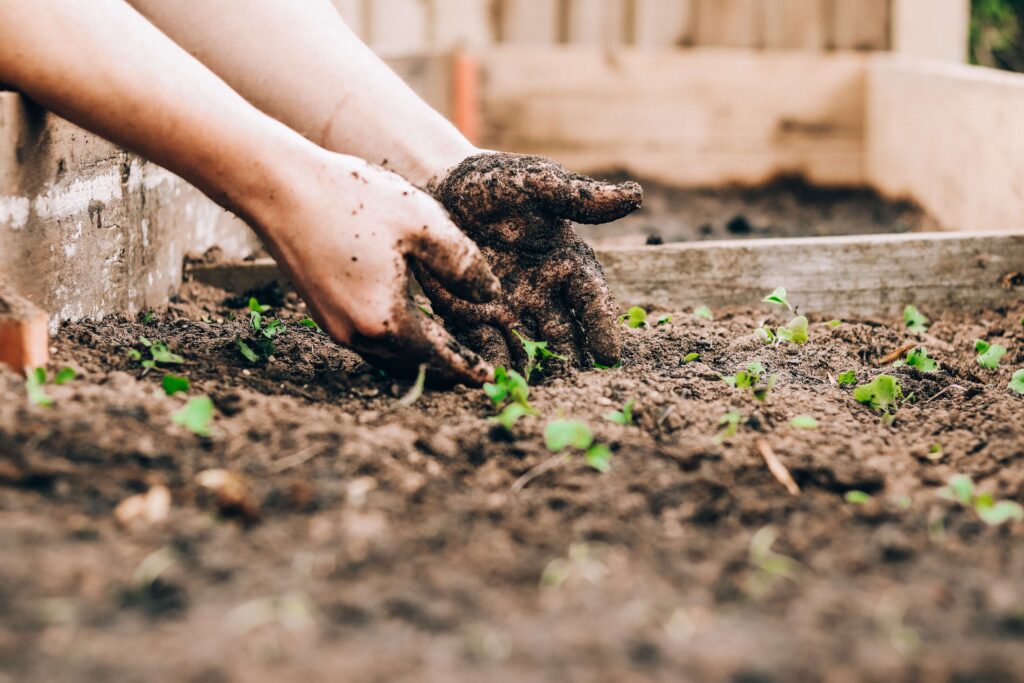 an image of planting that comes once the rocks are in place