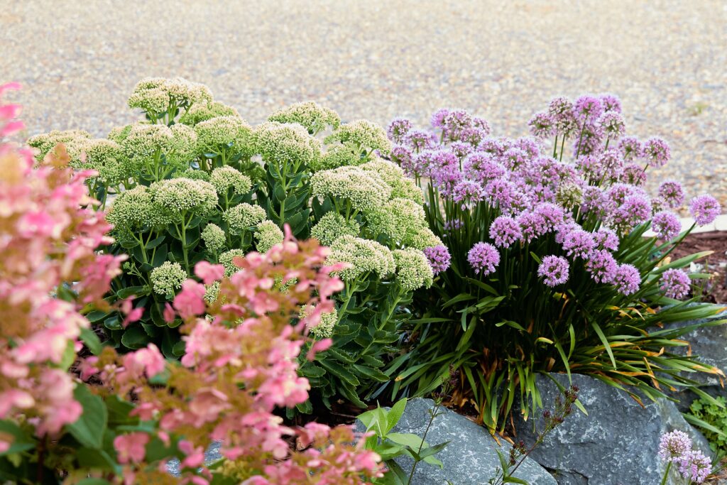 xeriscape with rocks is a wonderful alternative to traditional landscaping ideas.