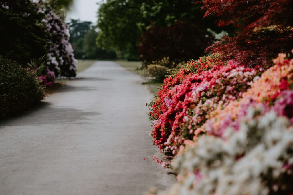 a lovely walkaway incorporated in a well-designed landscape