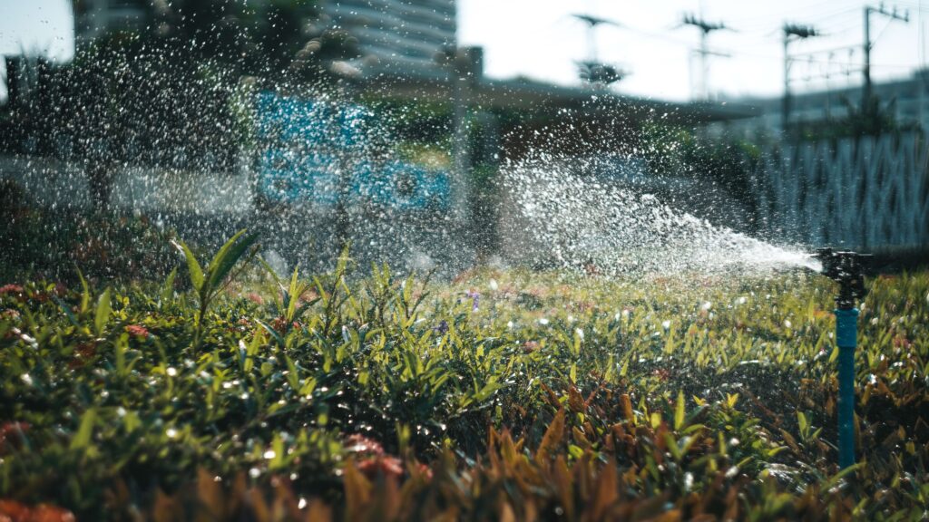 an image of sprinklers as a non-efficient watering technique 