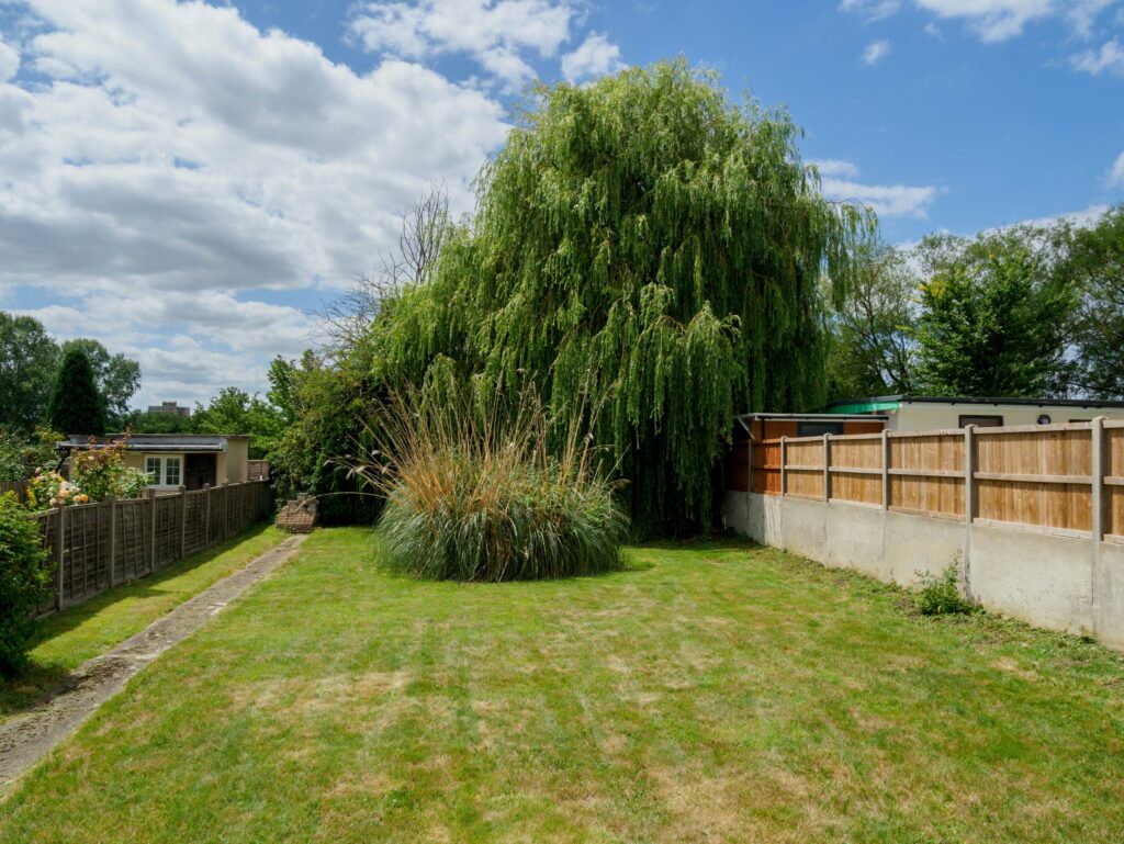 a back yard focused on non-living elements of landscape design